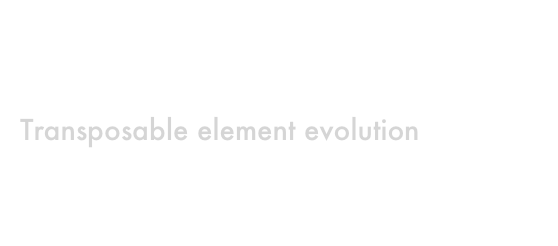 Cedric Feschotte, Ph.D.
University of Utah
Transposable element evolution
