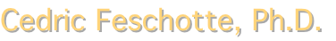 shapeimage_11_link_0