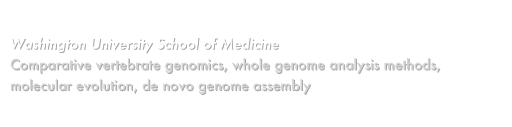 Wes Warren, Ph.D.
Washington University School of Medicine
Comparative vertebrate genomics, whole genome analysis methods, molecular evolution, de novo genome assembly
