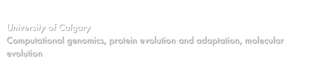 A.P. Jason de Koning, Ph.D.
University of Calgary
Computational genomics, protein evolution and adaptation, molecular evolution
