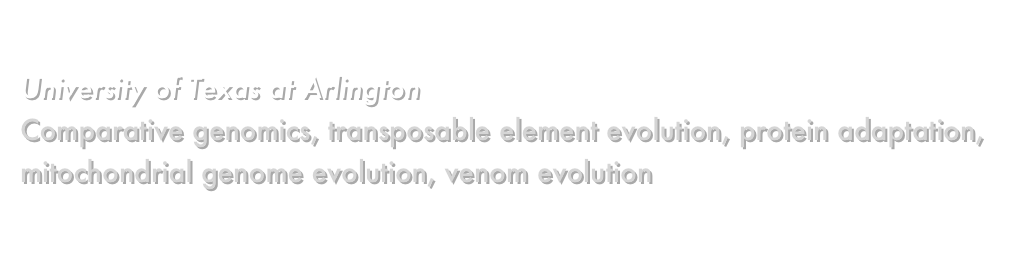 Todd A. Castoe, Ph.D.
University of Texas at Arlington
Comparative genomics, transposable element evolution, protein adaptation, mitochondrial genome evolution, venom evolution
