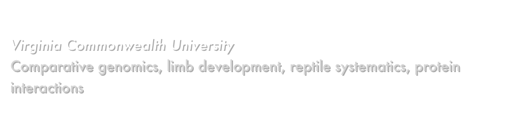 Peter Uetz, Ph.D.
Virginia Commonwealth University
Comparative genomics, limb development, reptile systematics, protein interactions
THE REPTILE DATABASE