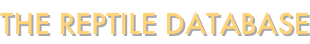 shapeimage_5_link_1