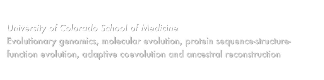 David D. Pollock, Ph.D.
University of Colorado School of Medicine
Evolutionary genomics, molecular evolution, protein sequence-structure-function evolution, adaptive coevolution and ancestral reconstruction
