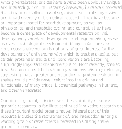 Among vertebrates, snakes have always been obviously unique and interesting. Not until recently, however, have we discovered that they are excellent model organisms for a truly impressive and broad diversity of biomedical research. They have become an important model for heart development, as well as physiological and metabolic cycling and control. They have become a centerpiece of developmental research on limb development, vertebral development and segmentation, as well as overall osteological development. Many snakes are also venomous: snake venom is not only of great interest for the development of antivenoms with which to treat snakebite, but certain proteins in snake and lizard venoms are becoming surprisingly important chemotheraputics. Most recently, snakes have become a model of extreme protein evolutionary redesign, suggesting that a greater understanding of protein evolution in snakes could provide novel insight into the origins and functionality of many critical biochemical pathways in humans, and other vertebrates. 

Our aim, in general, is to increase the availability of snake genomic resources to facilitate continued innovative research on these important model organisms. An integral part of this resource includes the recruitment of, and interaction among a working group of researchers interested in utilizing snake genomic resources.