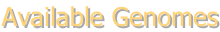 shapeimage_2_link_0