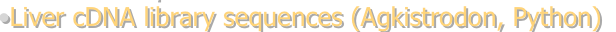 shapeimage_2_link_1