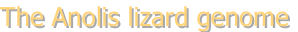 shapeimage_2_link_10
