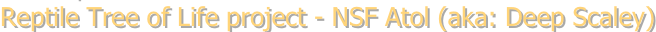 shapeimage_2_link_12
