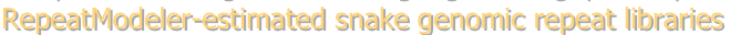 shapeimage_2_link_4