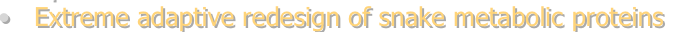 shapeimage_2_link_5