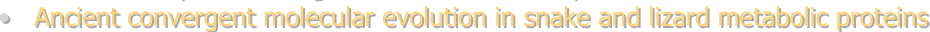 shapeimage_2_link_6