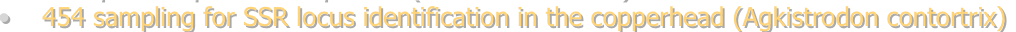 shapeimage_2_link_7