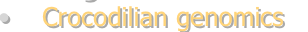 shapeimage_2_link_8